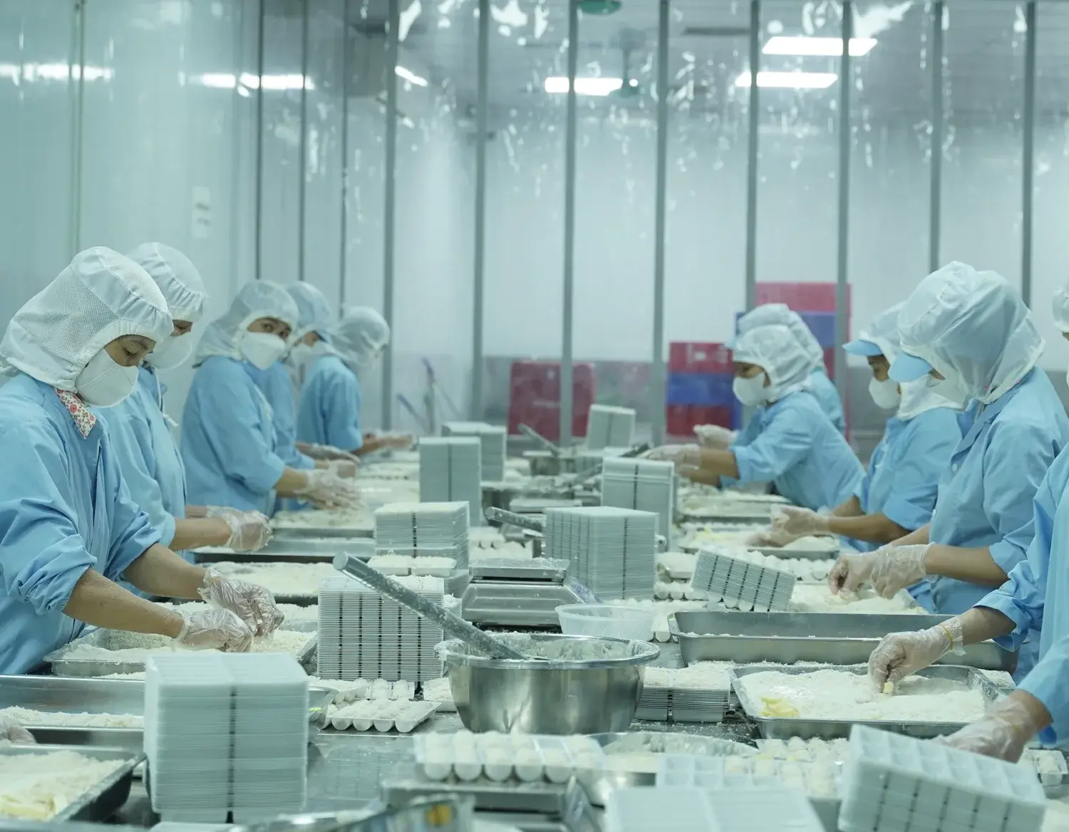 Khu vực sản xuất thực tế của Vị Quê Việt